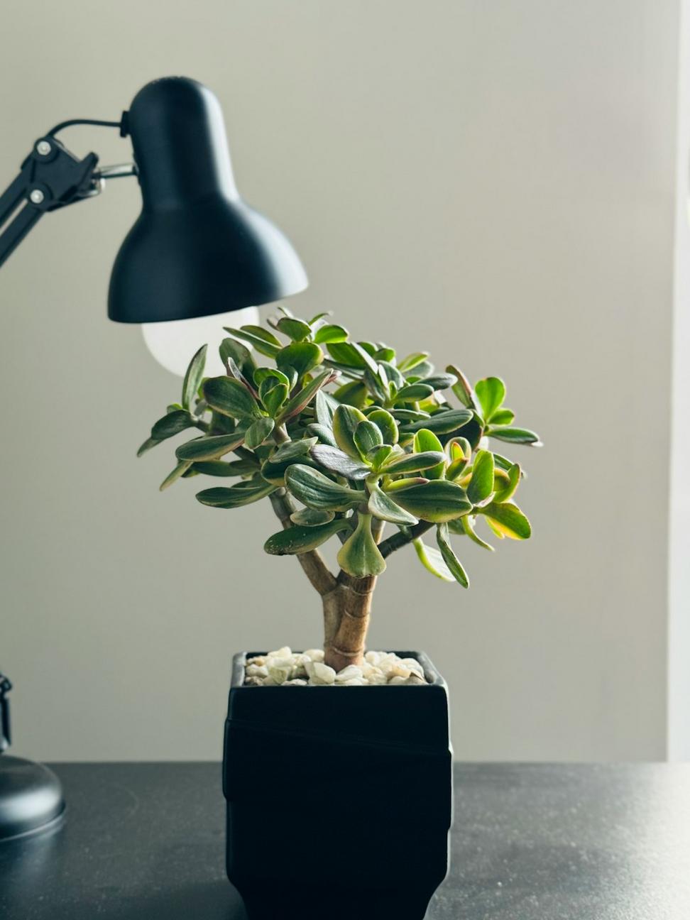 Creative Studio Fit-Out