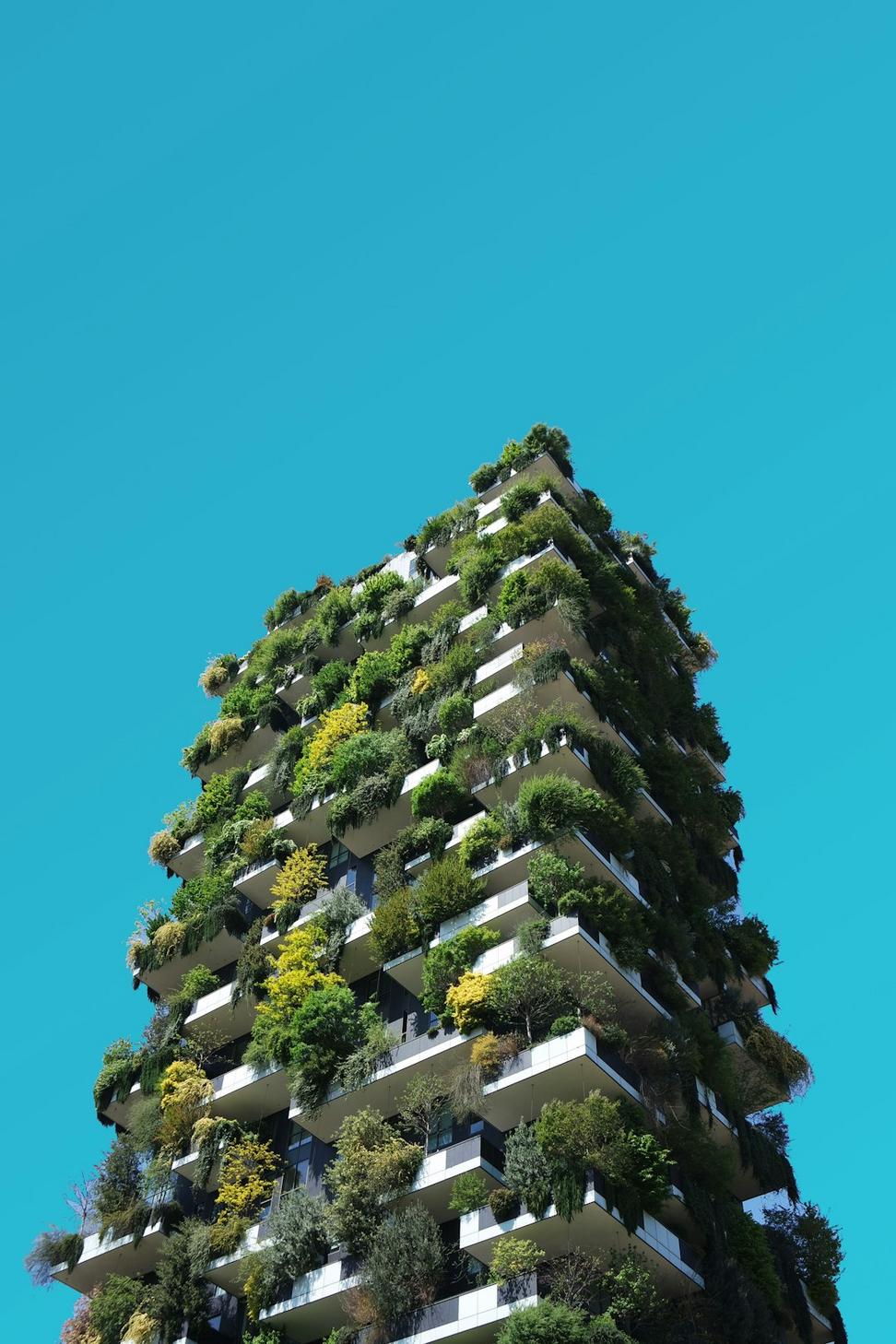 Architecture Process