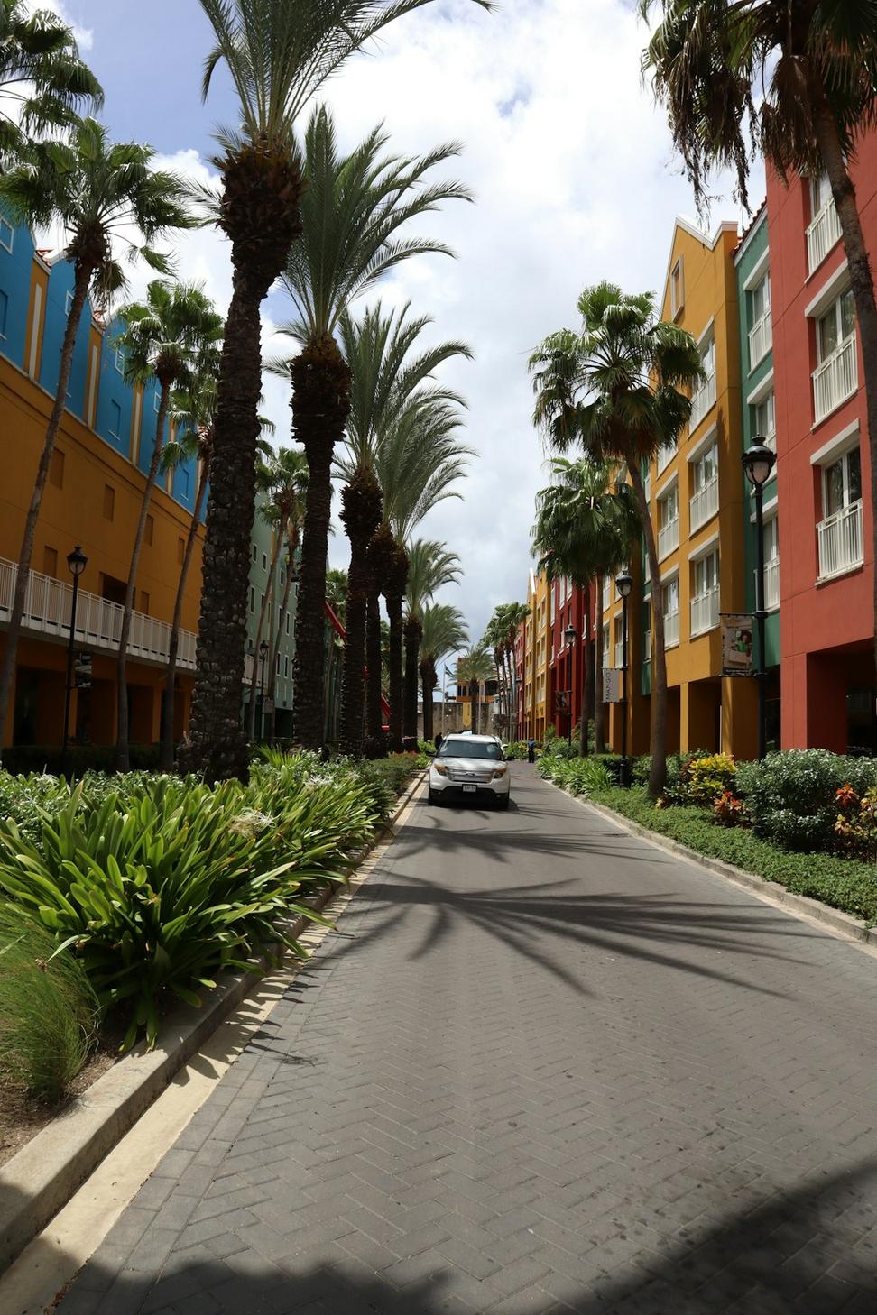 Laneway Housing Project